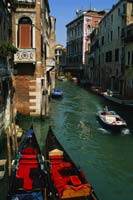Venezia